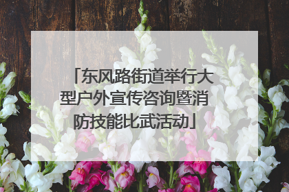 东风路街道举行大型户外宣传咨询暨消防技能比武活动