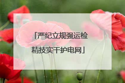 严纪立规强运检 精技实干护电网