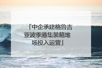 中企承建格鲁吉亚波季港集装箱堆场投入运营