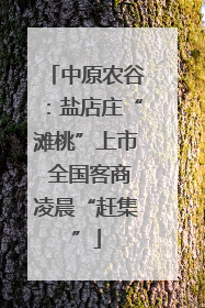 中原农谷：盐店庄“滩桃”上市 全国客商凌晨“赶集”