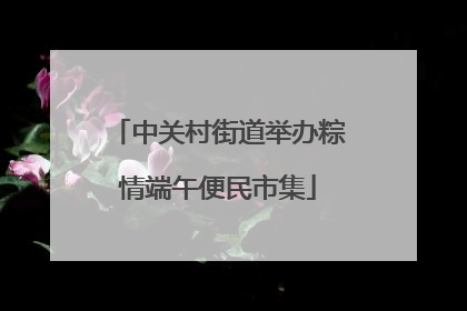 中关村街道举办粽情端午便民市集