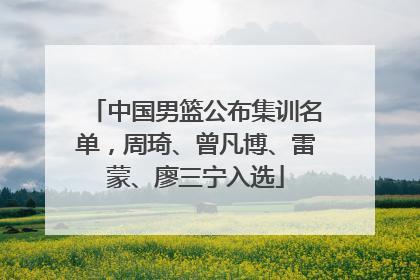 中国男篮公布集训名单，周琦、曾凡博、雷蒙、廖三宁入选