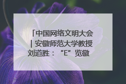 中国网络文明大会｜安徽师范大学教授刘道胜：“E”览徽风，构筑中华民族共有精神家园