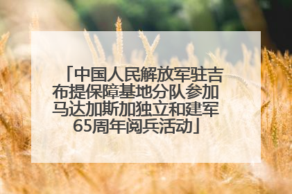 中国人民解放军驻吉布提保障基地分队参加马达加斯加独立和建军65周年阅兵活动