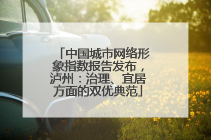 中国城市网络形象指数报告发布，泸州：治理、宜居方面的双优典范
