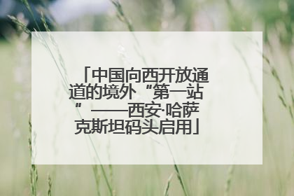 中国向西开放通道的境外“第一站”——西安·哈萨克斯坦码头启用