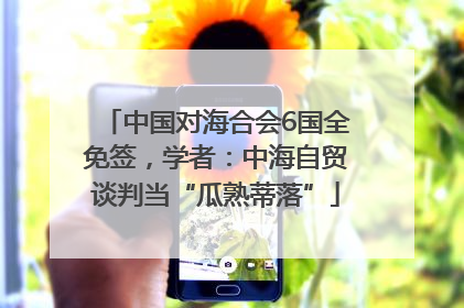 中国对海合会6国全免签，学者：中海自贸谈判当“瓜熟蒂落”