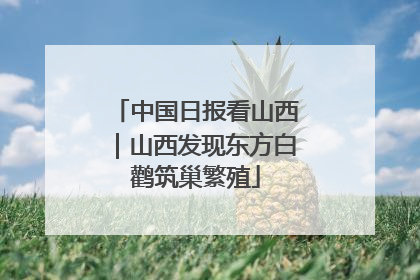 中国日报看山西｜山西发现东方白鹳筑巢繁殖