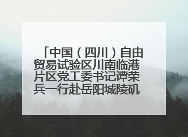 中国（四川）自由贸易试验区川南临港片区党工委书记谭荣兵一行赴岳阳城陵矶综保区考察