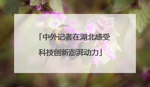 中外记者在湖北感受科技创新澎湃动力