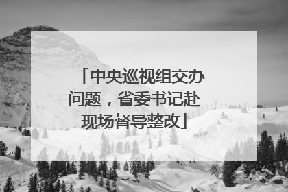 中央巡视组交办问题，省委书记赴现场督导整改