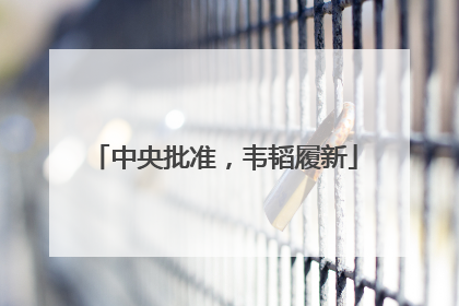 中央批准，韦韬履新
