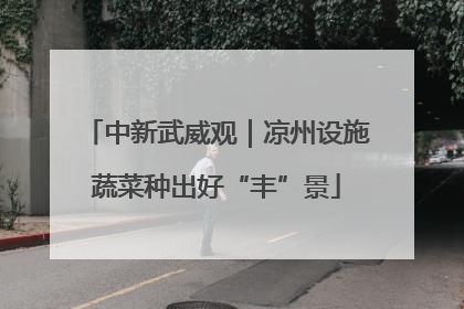 中新武威观｜凉州设施蔬菜种出好“丰”景