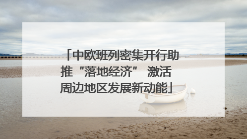 中欧班列密集开行助推“落地经济” 激活周边地区发展新动能