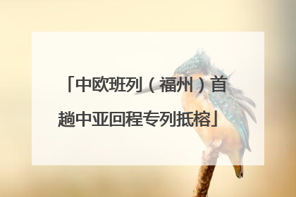 中欧班列（福州）首趟中亚回程专列抵榕
