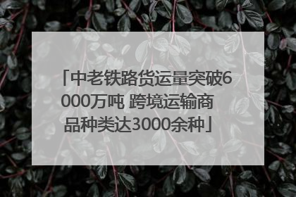 中老铁路货运量突破6000万吨 跨境运输商品种类达3000余种