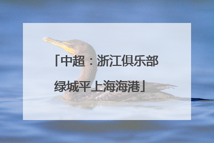 中超：浙江俱乐部绿城平上海海港