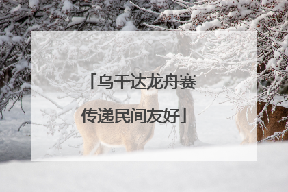 乌干达龙舟赛传递民间友好