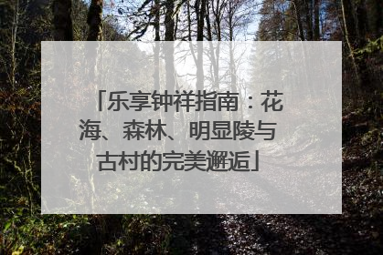乐享钟祥指南：花海、森林、明显陵与古村的完美邂逅