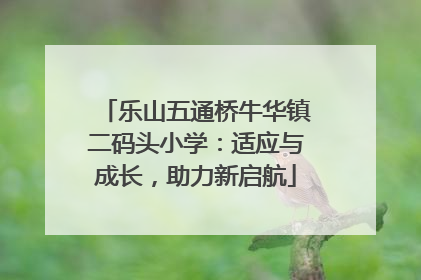 乐山五通桥牛华镇二码头小学：适应与成长，助力新启航