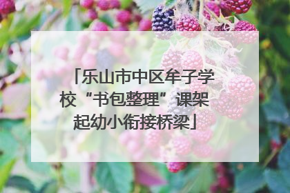 乐山市中区牟子学校“书包整理”课架起幼小衔接桥梁