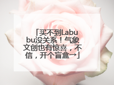 买不到Labubu没关系！气象文创也有惊喜，不信，开个盲盒→