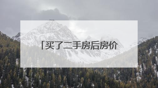 买了二手房后房价跌了，如今想置换，新房却涨价了｜100个买房故事