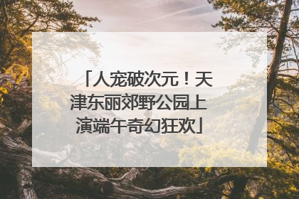 人宠破次元！天津东丽郊野公园上演端午奇幻狂欢