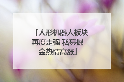 人形机器人板块再度走强 私募掘金热情高涨