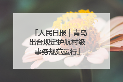 人民日报｜青岛出台规定护航村级事务规范运行