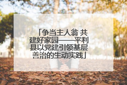 争当主人翁 共建好家园——平利县以党建引领基层善治的生动实践