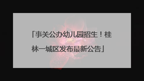 事关公办幼儿园招生！桂林一城区发布最新公告