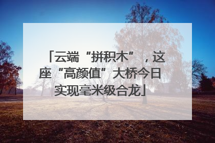 云端“拼积木”,这座“高颜值”大桥今日实现毫米级合龙
