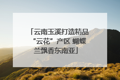云南玉溪打造精品“云花”产区 蝴蝶兰飘香东南亚