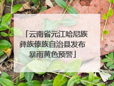 云南省元江哈尼族彝族傣族自治县发布暴雨黄色预警