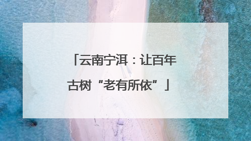 云南宁洱：让百年古树“老有所依”