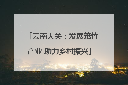 云南大关：发展筇竹产业 助力乡村振兴