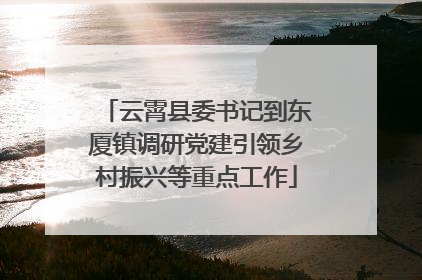 云霄县委书记到东厦镇调研党建引领乡村振兴等重点工作