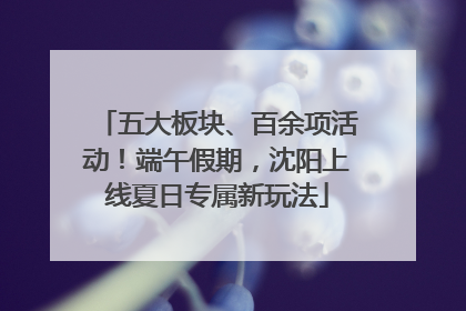 五大板块、百余项活动！端午假期，沈阳上线夏日专属新玩法