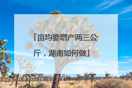 亩均要增产两三公斤，湖南如何做