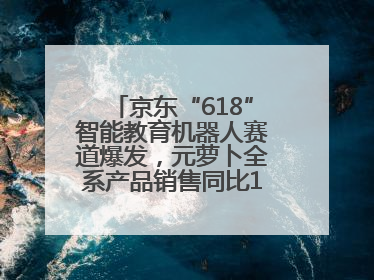 京东“618”智能教育机器人赛道爆发，元萝卜全系产品销售同比171%成黑马