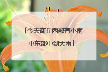 今天商丘西部有小雨 中东部中到大雨