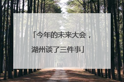今年的未来大会，湖州谈了三件事