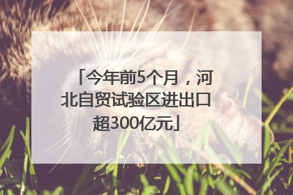 今年前5个月，河北自贸试验区进出口超300亿元