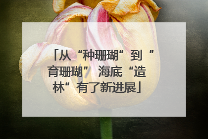 从“种珊瑚”到“育珊瑚” 海底“造林”有了新进展