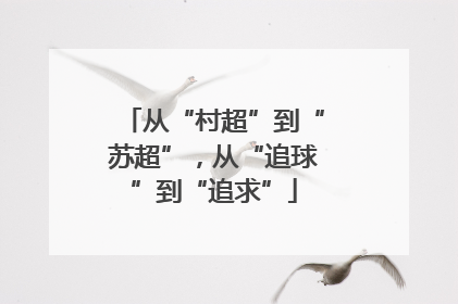 从“村超”到“苏超”，从“追球”到“追求”