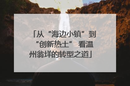 从“海边小镇”到“创新热土” 看温州翁垟的转型之道