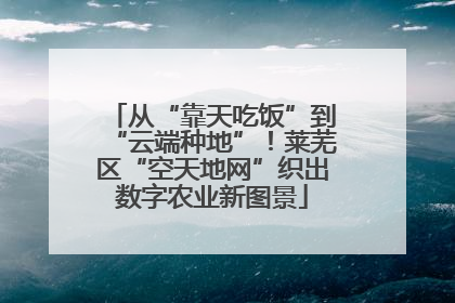 从“靠天吃饭”到“云端种地”！莱芜区“空天地网”织出数字农业新图景