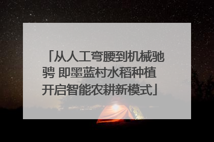 从人工弯腰到机械驰骋 即墨蓝村水稻种植开启智能农耕新模式