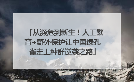 从濒危到新生！人工繁育+野外保护让中国绿孔雀走上种群逆袭之路
